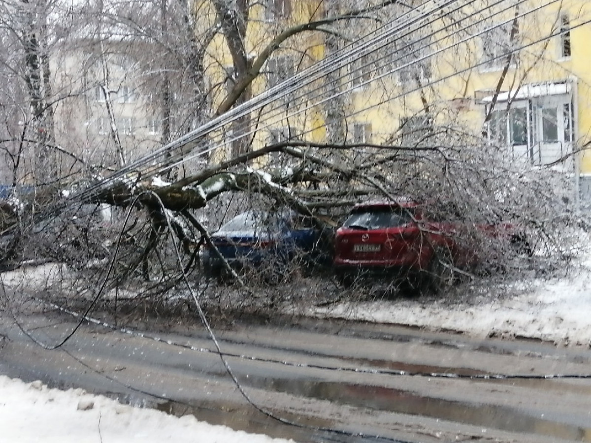 Последствия «ледяного дождя» в Нижегородской области