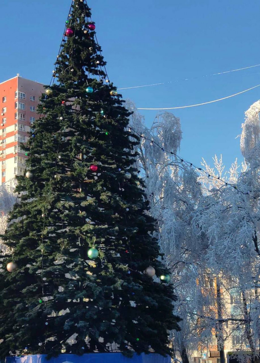 Новогоднюю елку установили у кинотеатра «Импульс» в Приокском районе