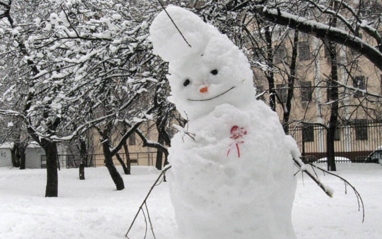 Снегопады придут в Нижний Новгород в конце рабочей недели
