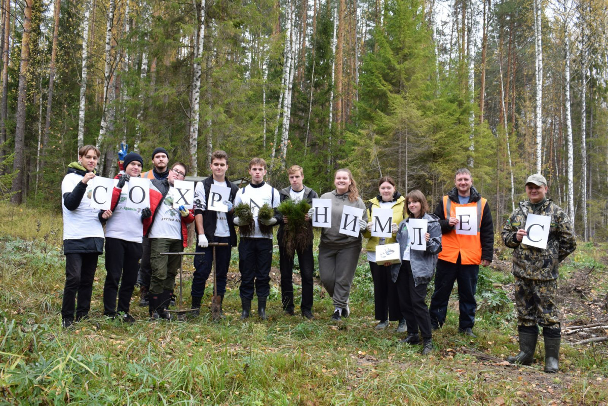 «Друзья леса» из Арзамаса завоевали серебро на всероссийском конкурсе школьных лесничеств