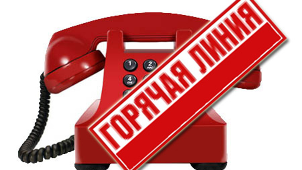 Вопросы по антикоррупционному просвещению можно задать специалистам 9 декабря
