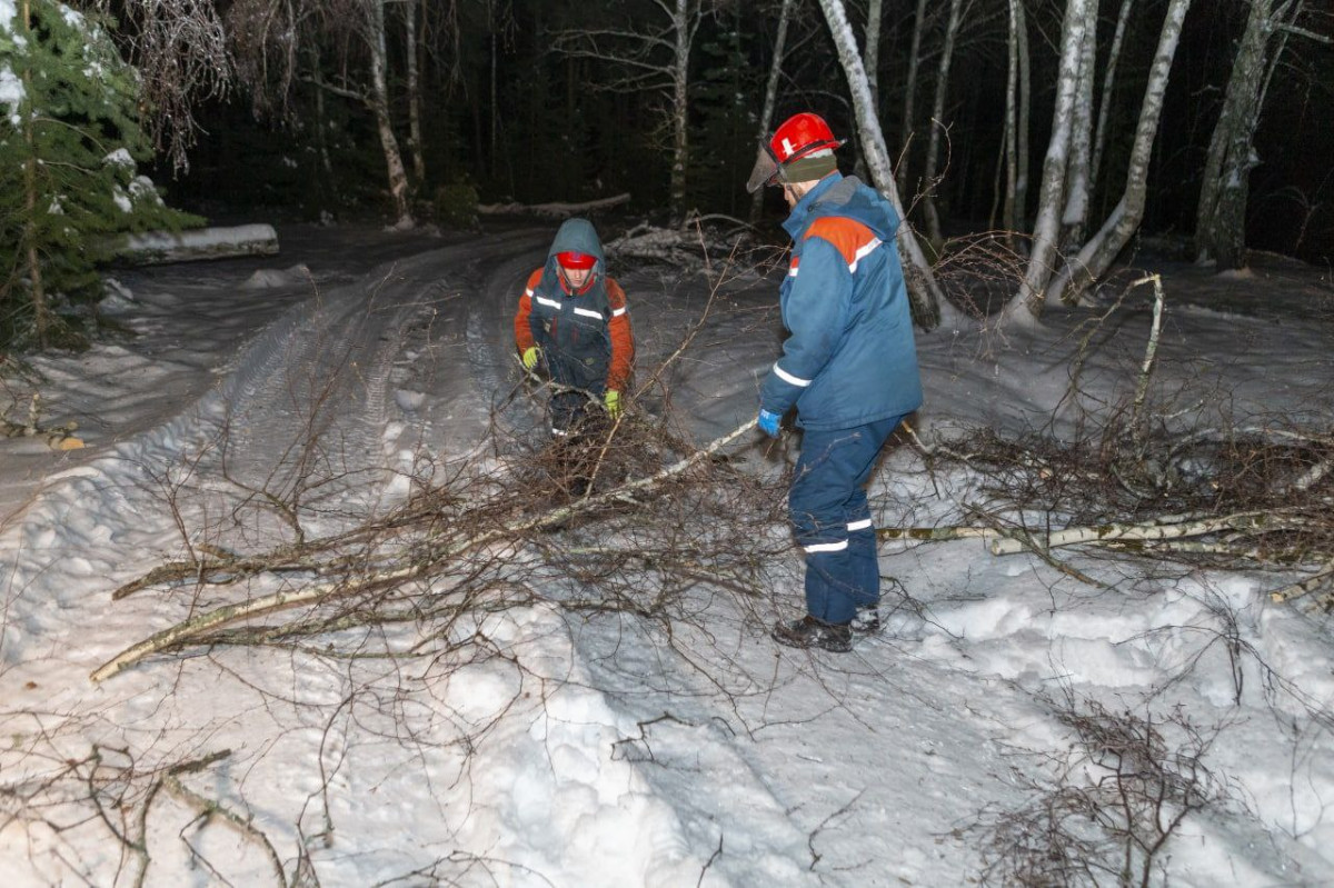 3,5 тысячи человек в Нижегородской области остаются без света из-за непогоды