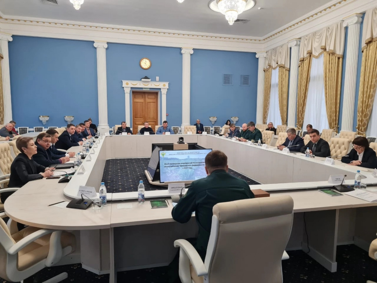 Нижегородская область вошла в топ-5 регионов ПФО — лидеров по эффективности сохранения лесов