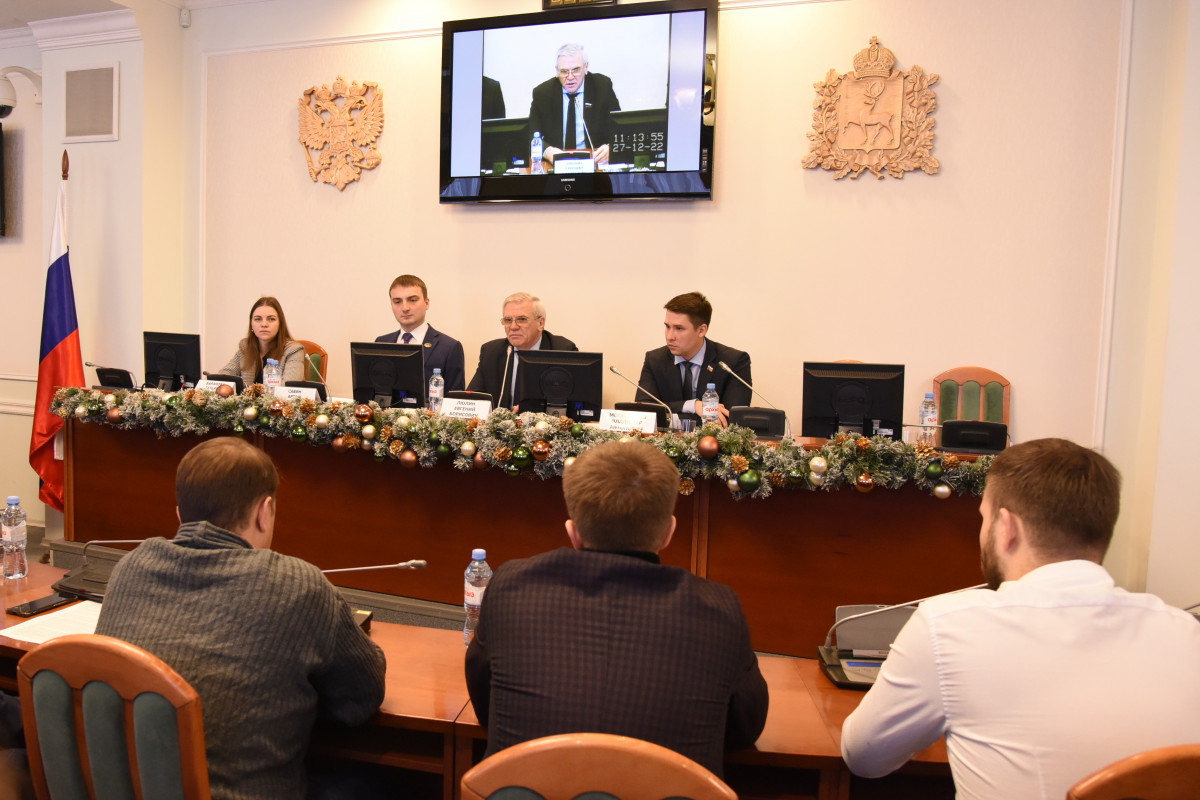 Люлин: нижегородские наработки молодых парламентариев становятся образцом для других регионов страны