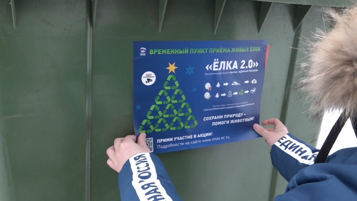 Нижегородцы могут сдать ели в специальные пункты с 3 по 25 января