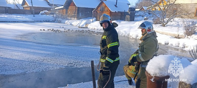 Ковернинские пожарные спасли уток и селезней
