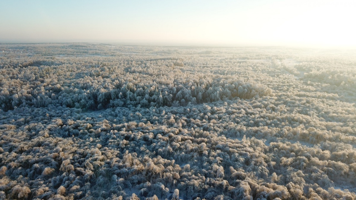 Две штабные машины поступят на вооружение лесопожарных станций Нижегородской области весной