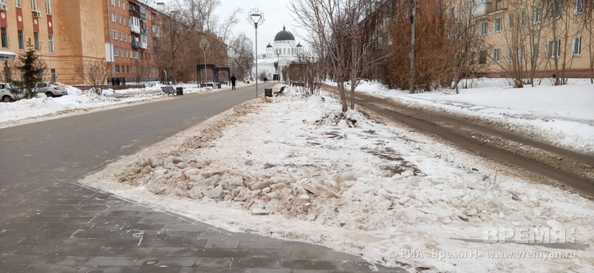 Уничтоженные при уборке снега зелёные насаждения на Ярмарочном проезде восстановят до 1 июля