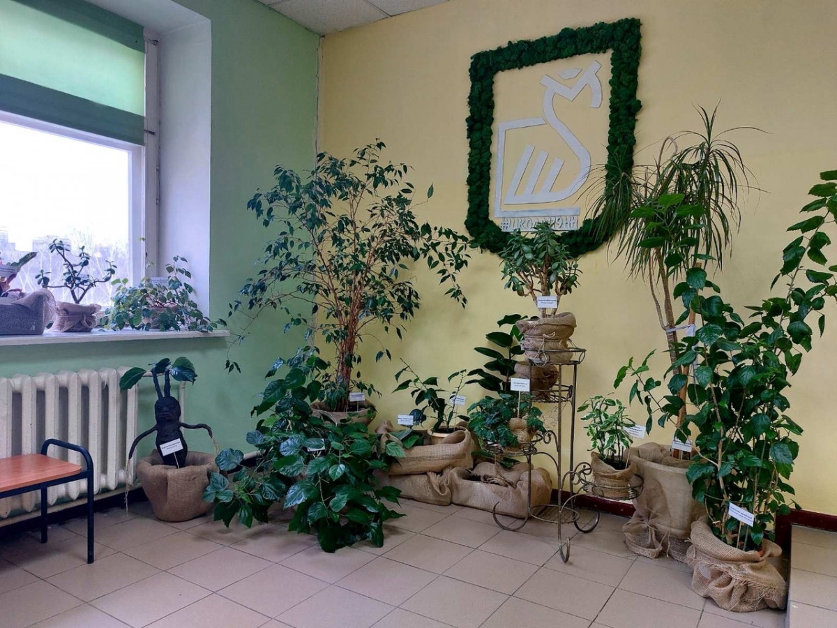 Теплица профессора травологии из Хогвартса появилась в школе № 119 Автозаводского района