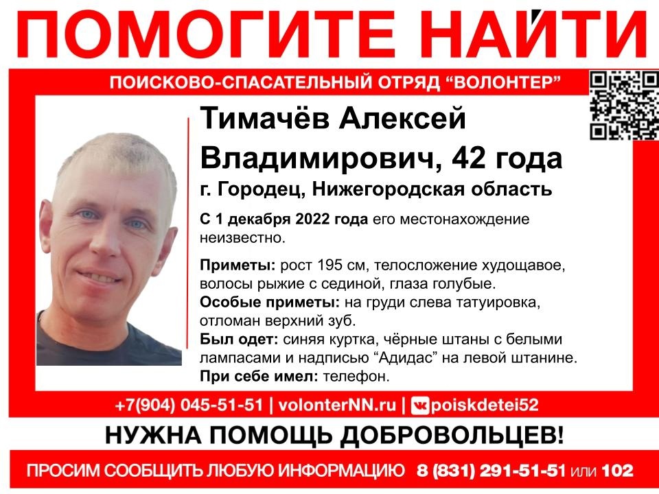 Поиски Алексея Тимачева продолжаются в Нижегородской области