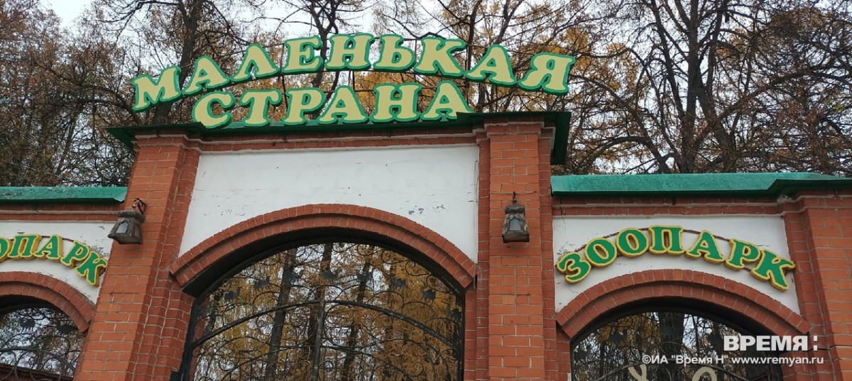 Балахнинский зоопарк оштрафован на 210 тысяч рублей после нападения львицы на сотрудницу