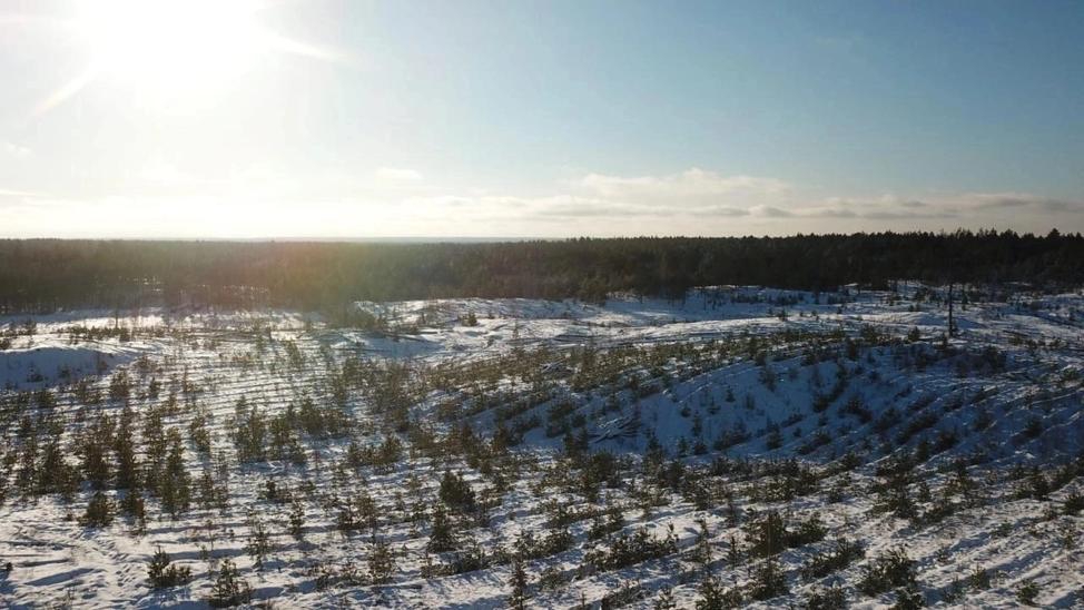 Нижегородская область вошла в топ-10 регионов страны по качеству охраны лесного фонда