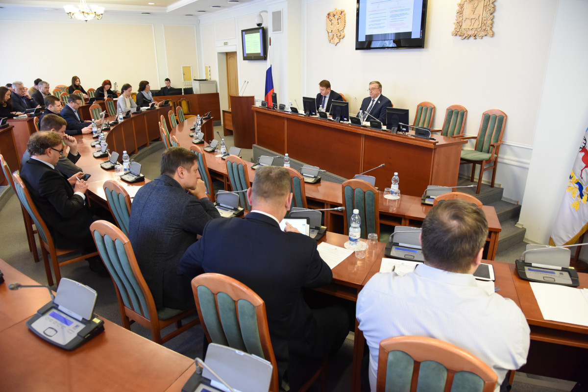 Нижегородские депутаты обсудили выделение более 50 млн рублей на развитие авиасообщения с Беларусью