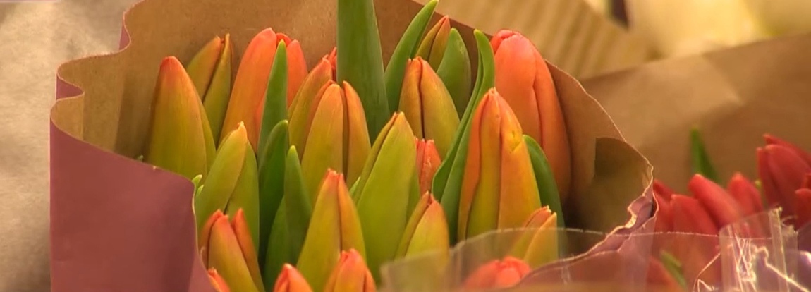 130 тысяч тюльпанов вырастили в Нижнем Новгороде к 8 марта