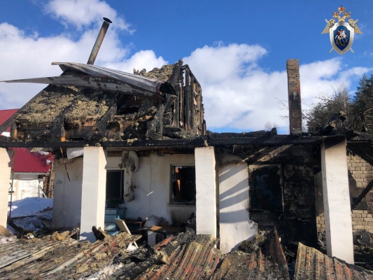 Уголовное дело возбуждено после гибели двух человек на пожаре в Дальнеконстантиновском районе