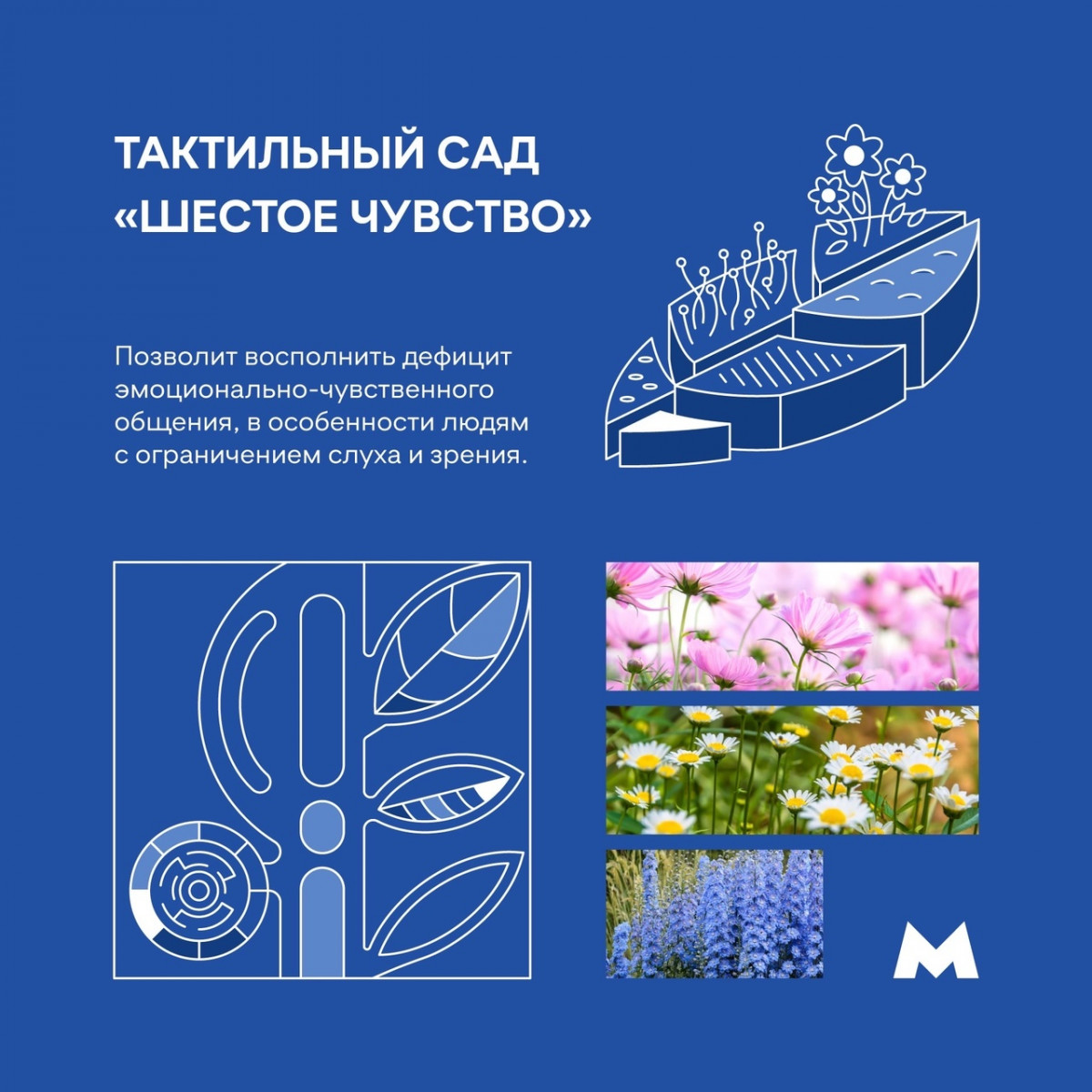 Тактильные сады предлагают создать около новых станций нижегородского метро