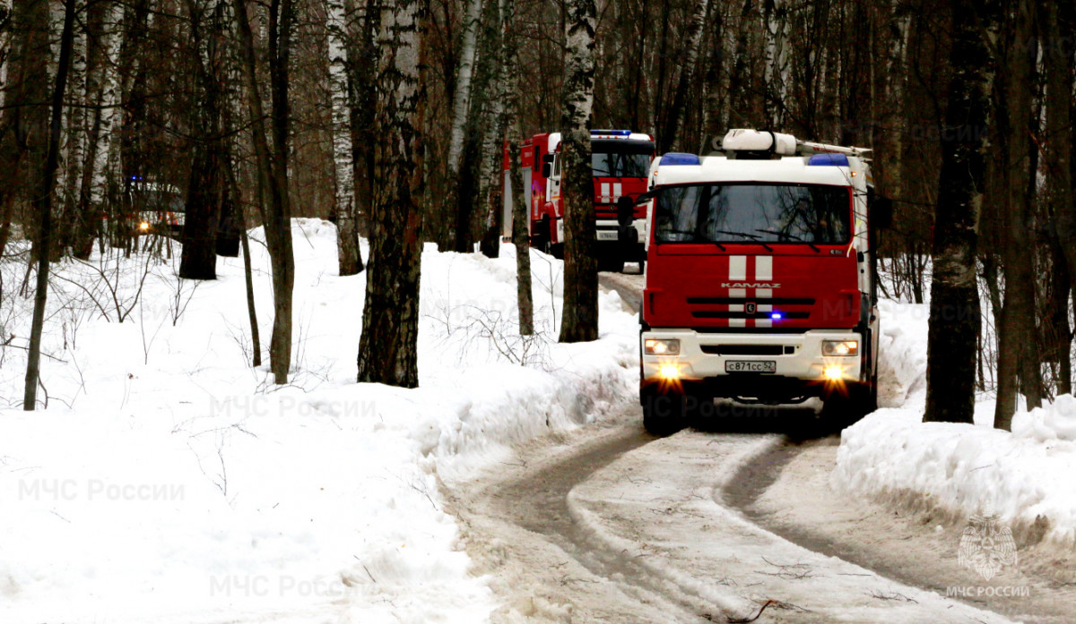 Нижегородские спасатели отработали реагирование на ликвидацию природных пожаров