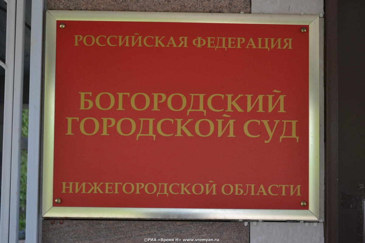 Экс-глава Богородского района Сочнев получил условный срок