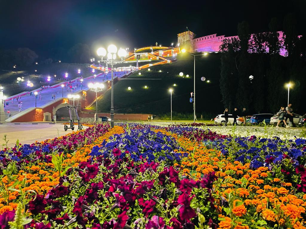 Почти семь тысяч квадратных метров цветников разобьют в Нижегородском районе в 2023 году