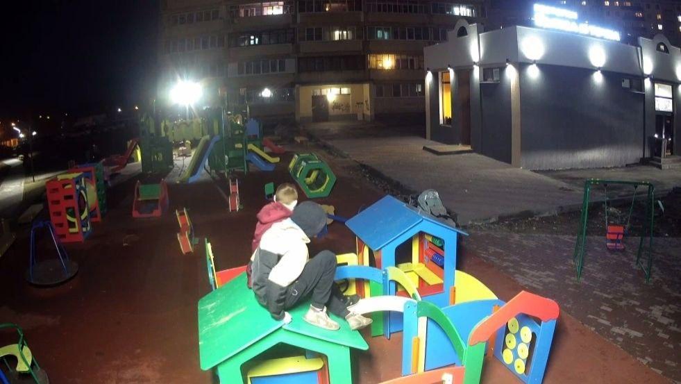 Подростки в Выксе скинули в пруд детскую карусель