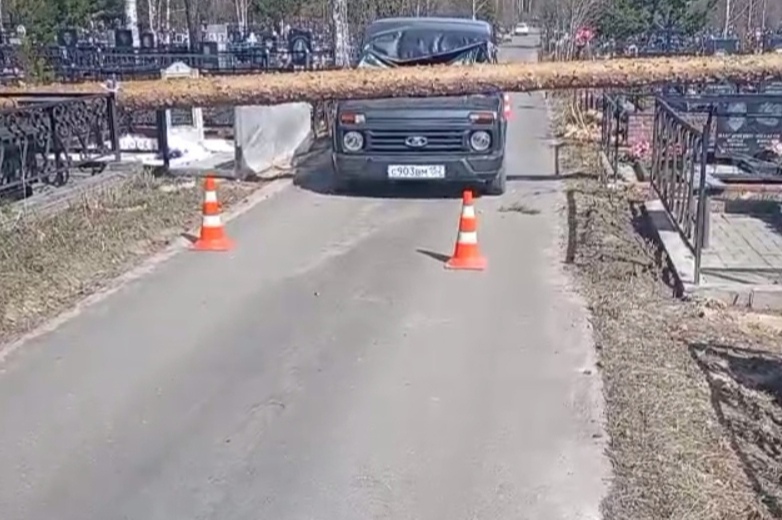 Дерево пробило лобовое стекло машины на кладбище в Сарове