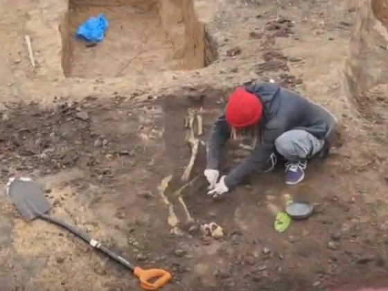 Человеческие останки обнаружили в ходе археологических раскопок в Выездном