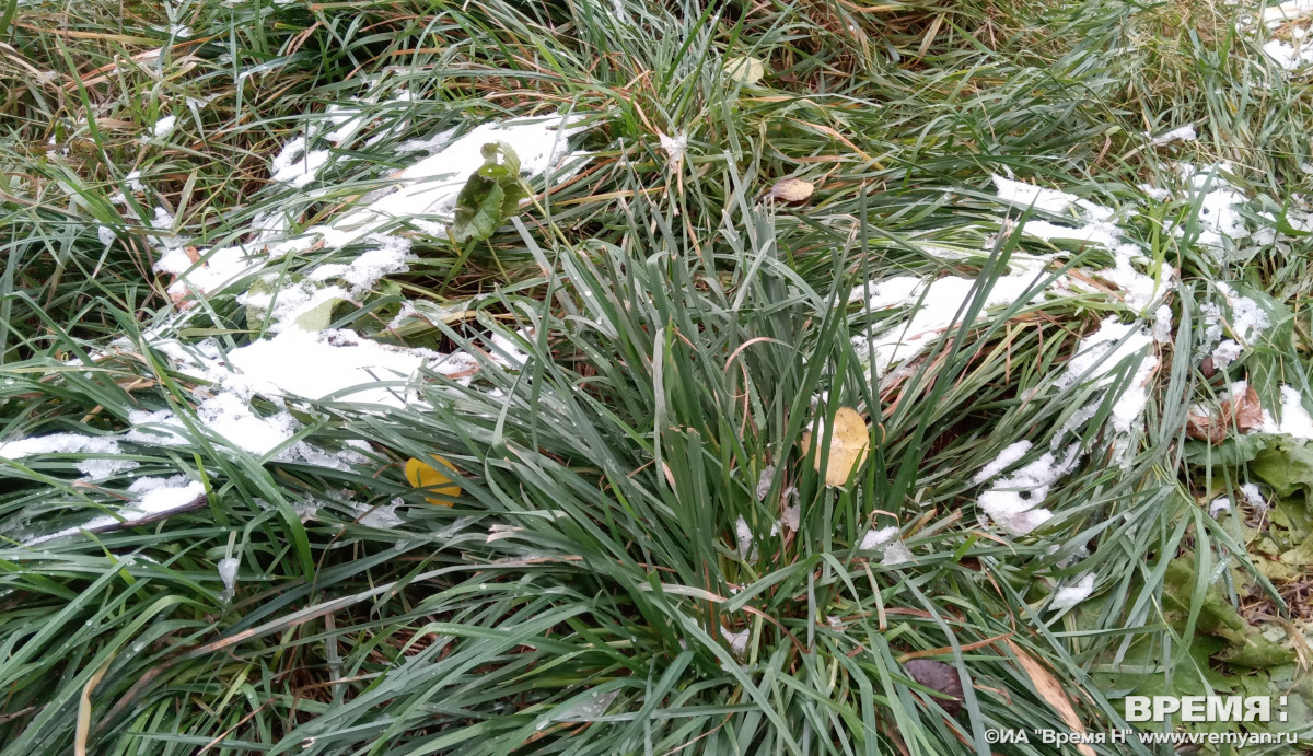 Заморозки ожидаются в Нижегородской области на майские праздники