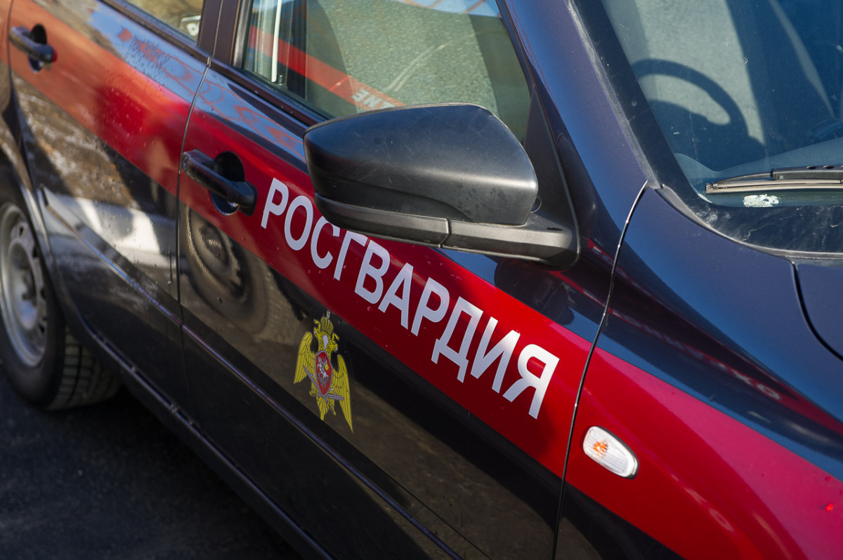 Двух дебоширов задержали в аквапарке Нижнего Новгорода