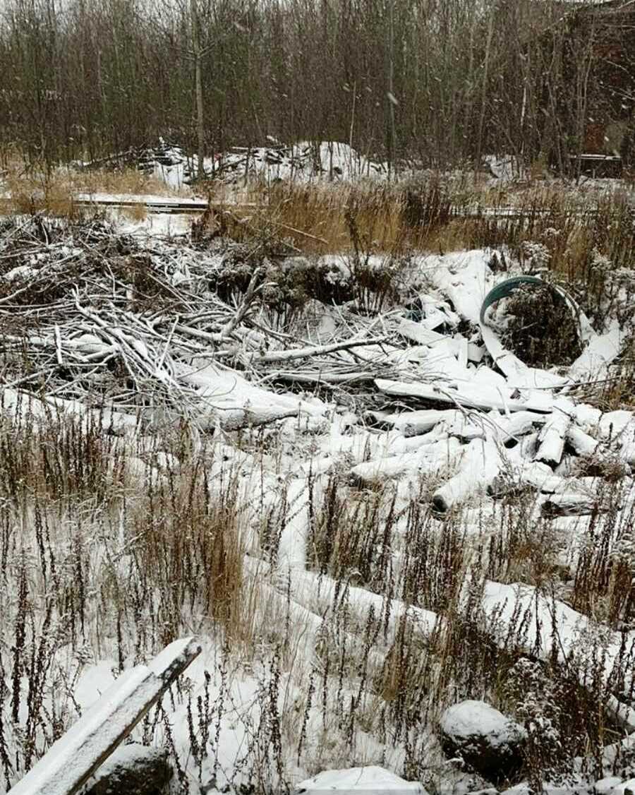 37 млн рублей взыскивают с нижегородского завода «Красное Сормово» за незаконную свалку