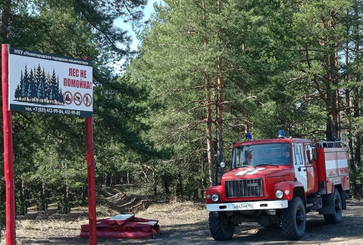 Третий класс пожароопасности установлен в лесах Нижнего Новгорода