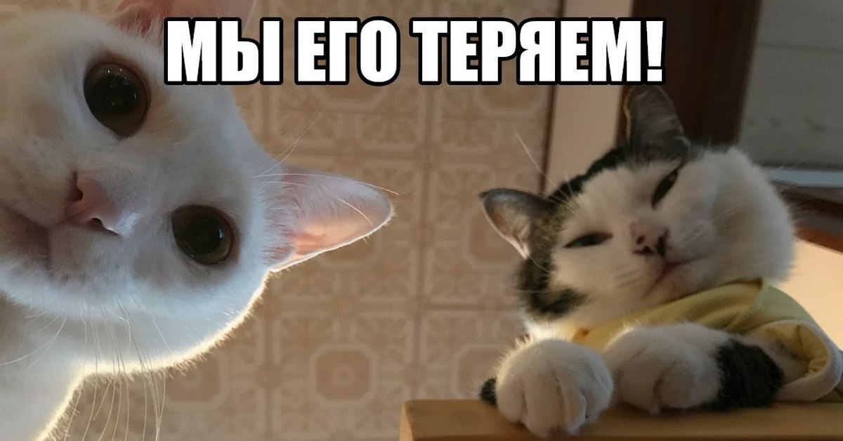 Клиент потерян — объявляем поиск