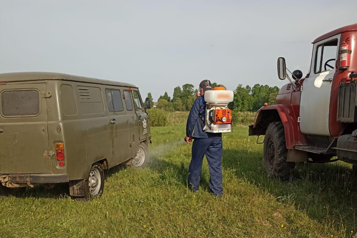 Очаг гриппа птиц купирован в Шарангском округе