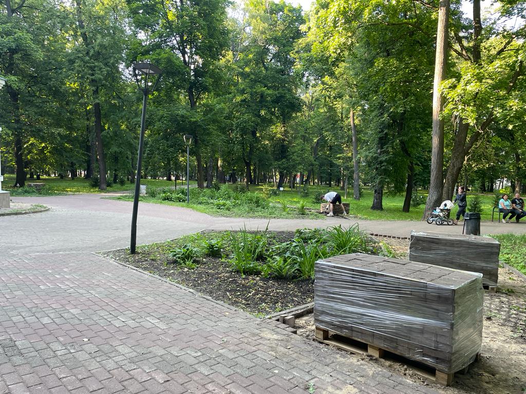 Комплексное благоустройство парка имени Кулибина началось по программе «ФКГС»