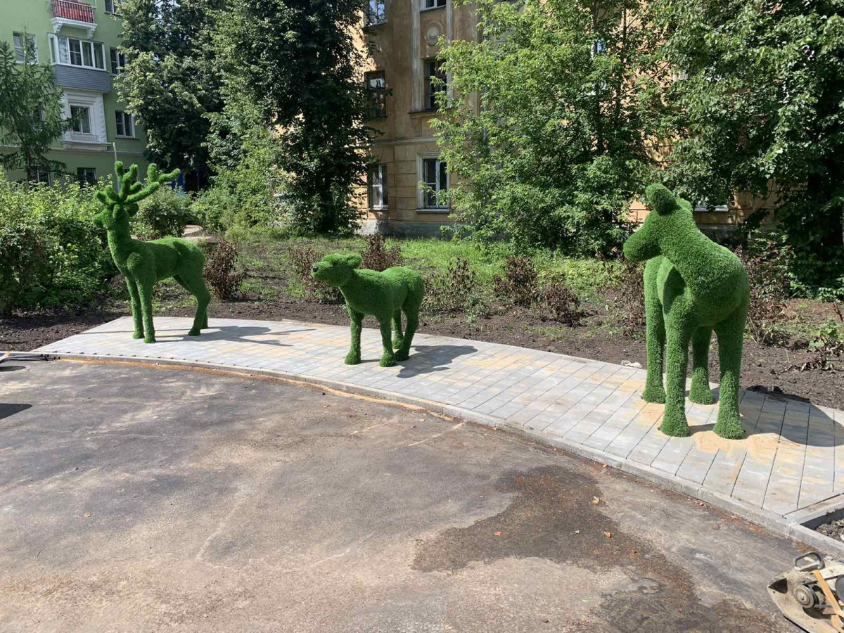 Семья оленей появилась в сквере по улице Генерала Клюева