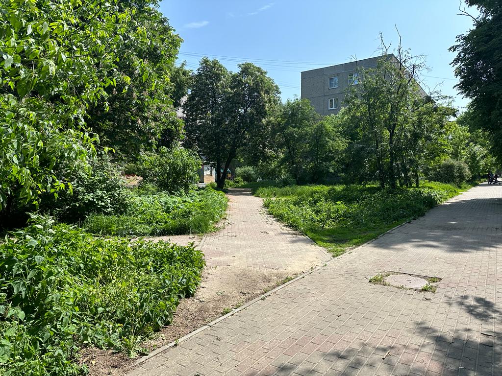 Две благоустроенные прогулочные зоны появятся на улице Кировской в Ленинском районе