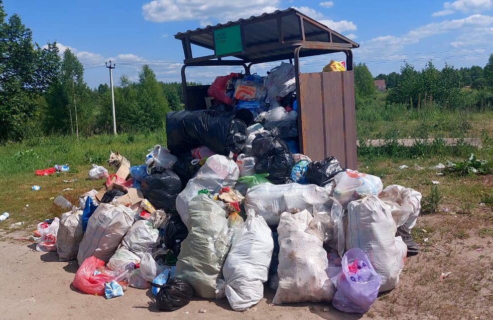 Почти семь тысяч контейнерных площадок в Нижегородской области проверили специалисты ГЖИ