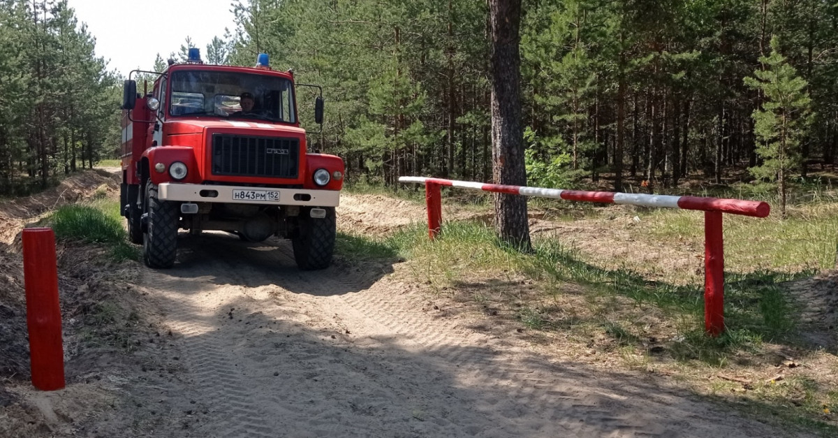 Специалисты прогнозируют повышение класса пожарной опасности в нижегородских лесах