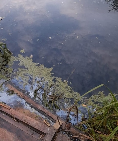 Воду с макарошек не сливай картинка