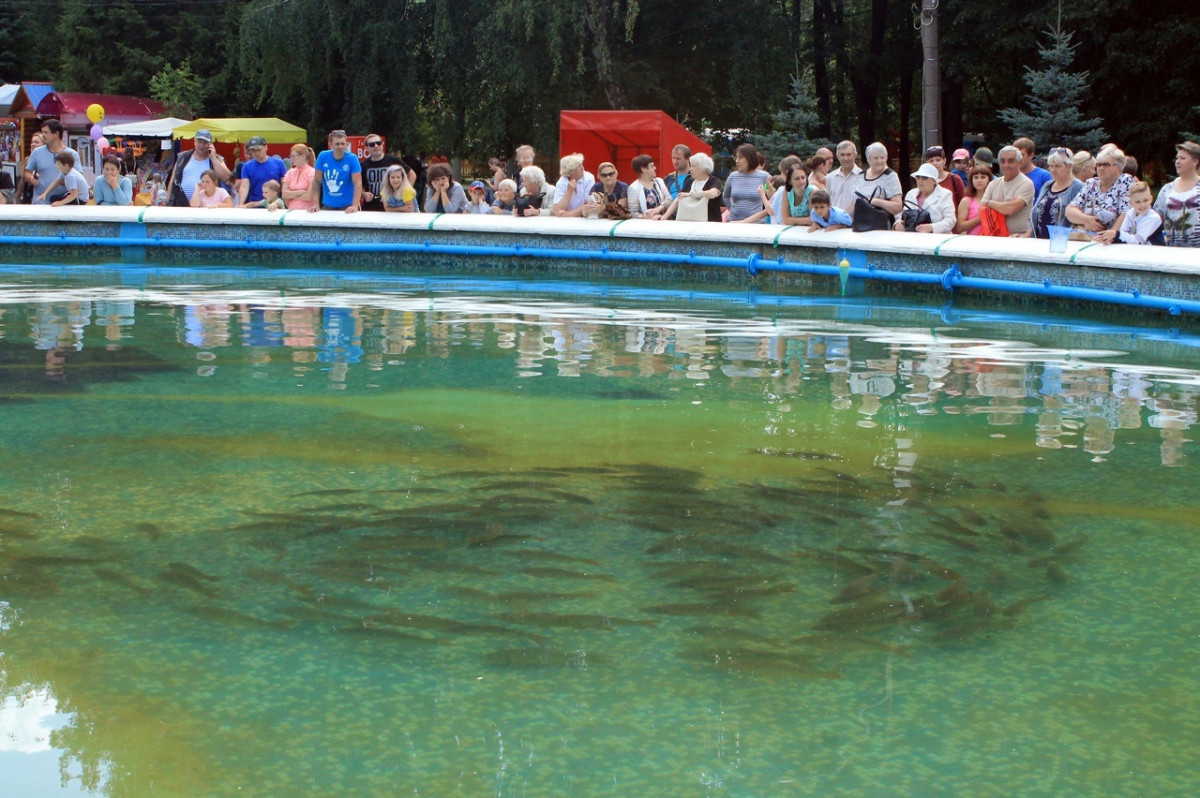 100 килограммов карпа можно будет выловить в День рыбака в Автозаводском парке