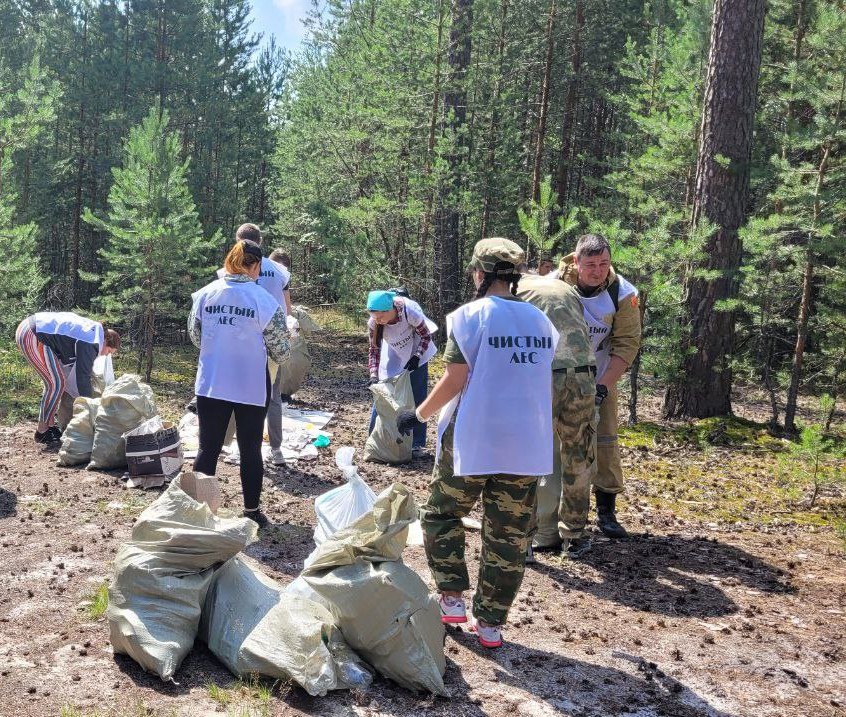 Более 50 кубометров мусора вывезли с территории Кулебакского районного лесничества