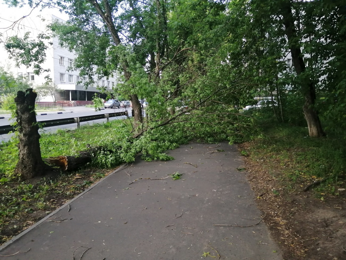 Движение транспорта затруднено в Нижнем Новгороде из-за упавших деревьев