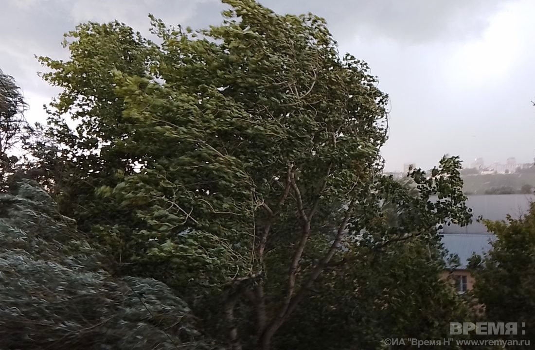 Очередной ураган обрушится на Нижегородскую область 30 июля