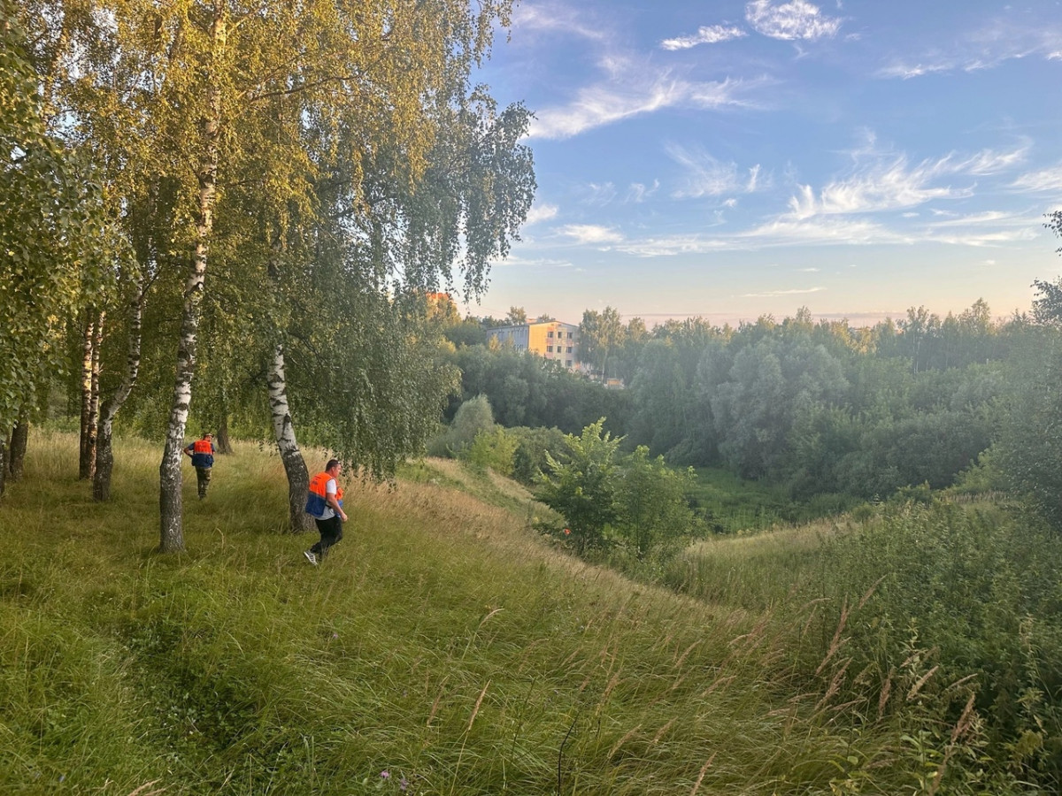 Ушедшего из арзамасской больницы пенсионера нашли в болоте в овраге