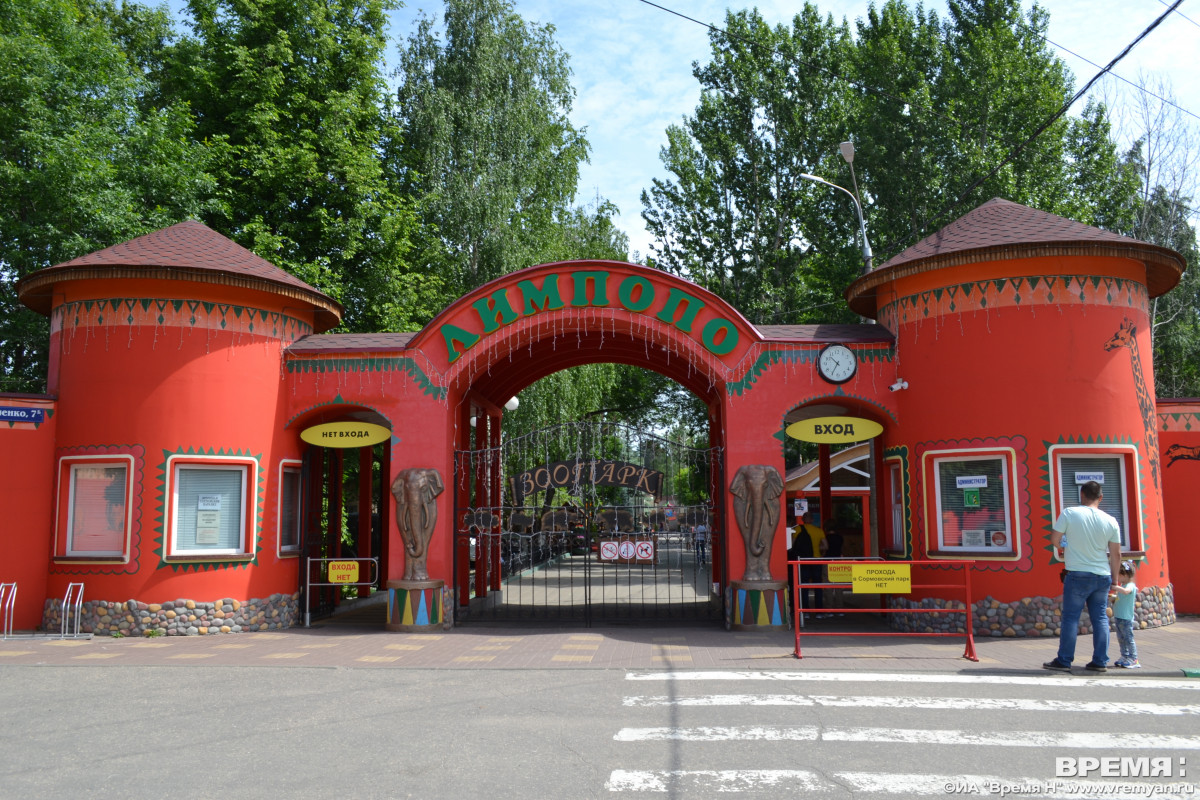 Первоклассники смогут посетить нижегородский зоопарк «Лимпопо» бесплатно