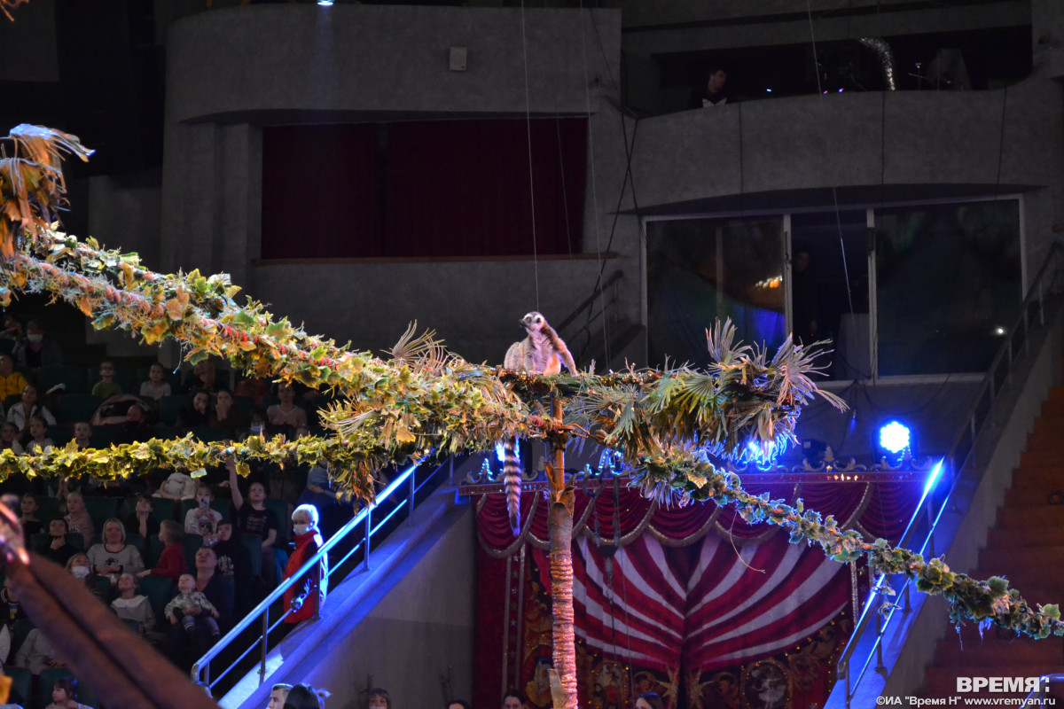 Нижегородцы стали чаще посещать цирковые шоу