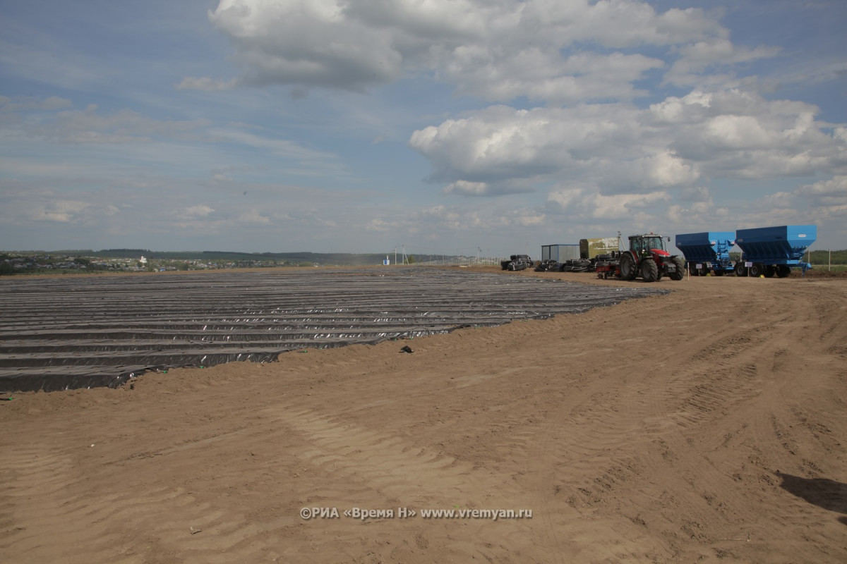 Более 1,5 тонн зерна собрано с полей Нижегородской области