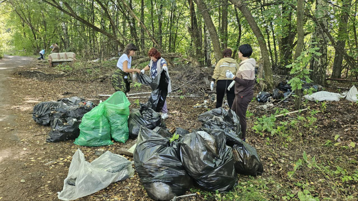 Более 40 кубометров мусора вывезли с территории Кстовского районного лесничества в ходе акции «Чистый лес»