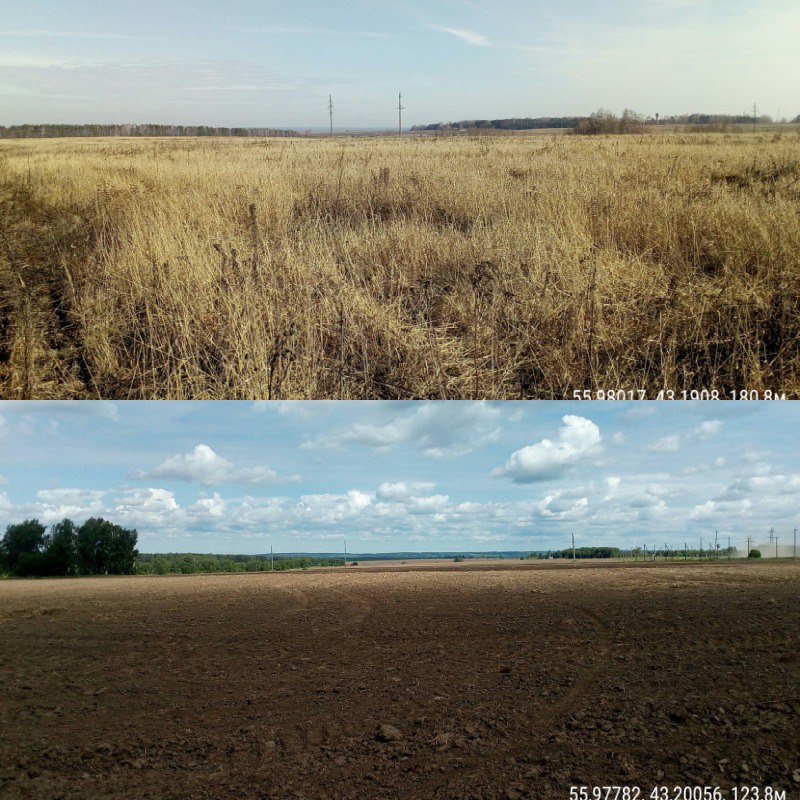 Тысяча гектаров земель введена в сельхозоборот в Нижегородской области