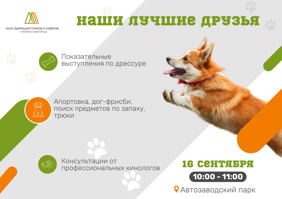 Показательные выступления по дрессуре собак «Наши лучшие друзья» состоятся в Автозаводском парке