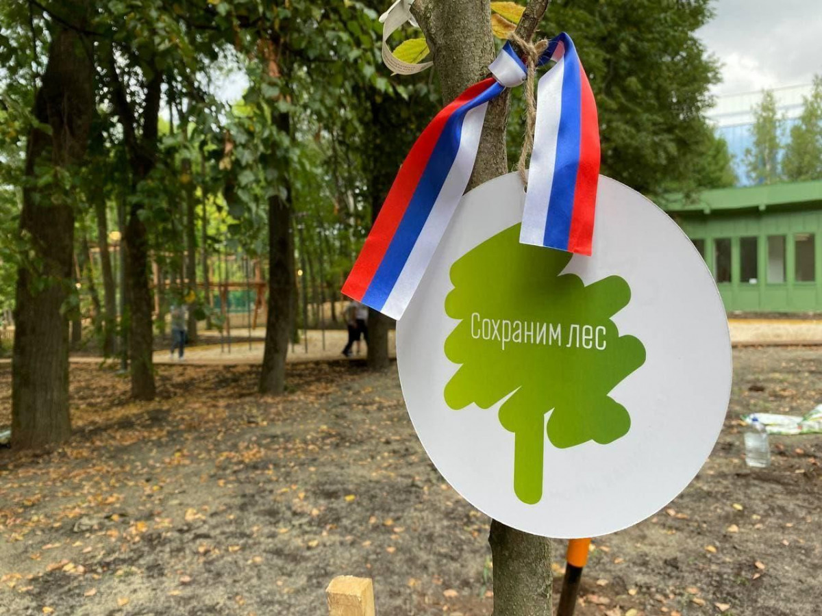 В Нижегородской области стартовала ежегодная всероссийская акция «Сохраним лес»